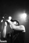 Swallowthesun-20100402-1510