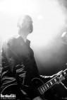 Swallowthesun-20100402-1581
