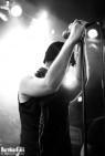 Swallowthesun-20100402-1604
