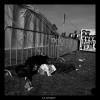 Wacken-2011 RIP