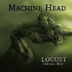 machine_head_locust