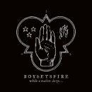 Boysetsfire - While A Nation Sleeps...