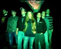 Palindrome - Interview zur "Bundle These Scattered Synapses" EP