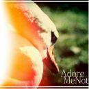 adore-me-not