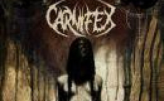 carnifex nothing