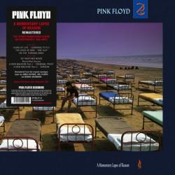 Pink Floyd - A Momentary Lapse Of Reason (LP, Reissue)