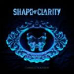 Shape Of Clarity - Chameleon Mirror