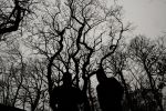 Die Black Metaller MURG veröffentlichen ersten Song vom neuen Album &quot;Strävan&quot;