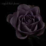 CRIPPLED BLACK PHOENIX: Neue EP &quot;Painful Reminder / Dead is Dead&quot;