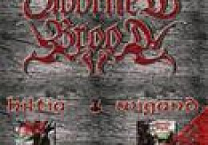 Adorned Brood - Hiltia & Wigand (Dpl.-CD : Re-Release)