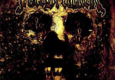 Facebreaker - Infected facebreaker