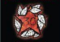 New Model Army - Anthology