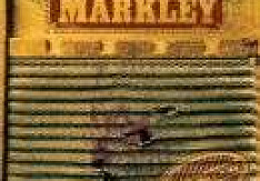 Old Man Markley - Guts n` Teeth old_man