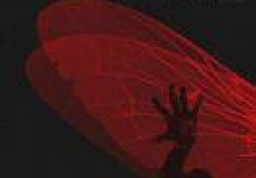 The Haunted - Unseen thehaunted-unseen
