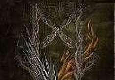 Fortid – Pagan Prophecies Fortid Pagan Prophecies