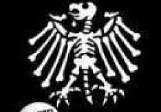 Die Toten Hosen – Bis zum bitteren Ende: Das Songbook mit allen Texten und allen Liedern die toten hosen bis zum bitteren ende songbook