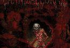 Cannibal Corpse - Torture image