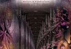 Uninvited Guest - Malice In Wonderland maliceinwonderland