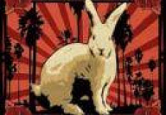 Nathen Maxwell - White Rabbit