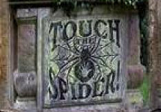 Touch The Spider - I Spit On Your Grave touchthespider_ispitonyourgrave