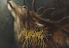 Lascar - Absence