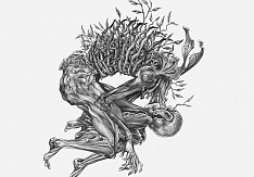 Together To The Stars - As We Wither
