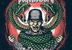 Psychework - The Dragon’s Year