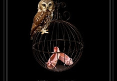Matenrou Opera - Invisible Chaos (Single)