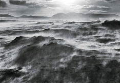 The Great Cold - s.t.