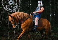 Steve `N` Seagulls - Brothers In Farms