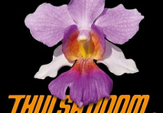 Thulsa Doom - A Keen Eye For The Obvious