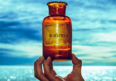 Blackfield - V