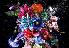 Matenrou Opera - Human Dignity