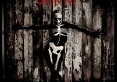 Slipknot - .5: The Gray Chapter
