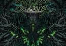 Annotations Of An Autopsy - Before The Throne Of Infection