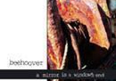 Beehoover - A Mirror Is A Window´s End