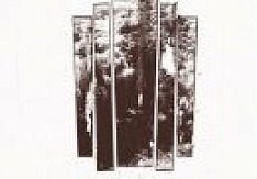 Elision - Things Are Far From Ok Review