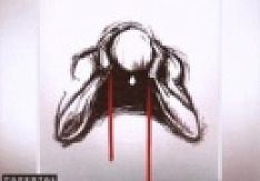 Sevendust - Alpha