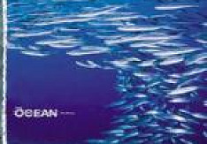 The Ocean - Fluxion