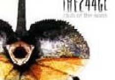 The 244GL - Club Of The Sons Review