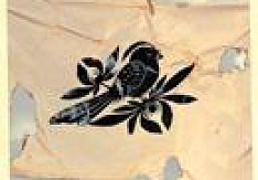 Bayside - The Walking Wounded Review