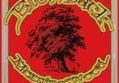 Blowback - Morning Wood