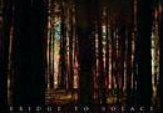 Bridge To Solace - Where Nightmares And Dreams Unite Review