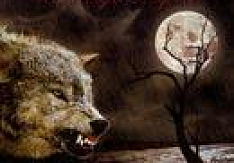 Catamenia - Winternight Tragedies Review