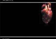 Dãm – Purity (The Darwinian Paradox) Review