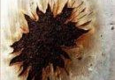 Danishmendt - Eaux Fortes Review