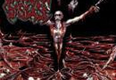 Dawn Of Disease - Through Bloodstained Eyes Review