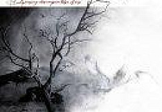 Diecast - Tearing Down Your Ble Skies Review