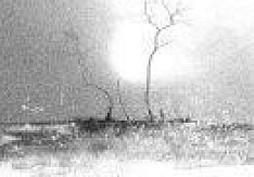 Gallhammer - Ill Innocence Review