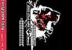 Hollywood Porn Stars - Year Of The Tiger